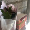 (주)파파스필름 | 24년 연말과 25년 상반기 나의 일상
