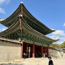 남지제일교회입구 | 가을빛으로 물든 창경궁 궁궐 투어, 그리고 흥인지문공원 억새밭 산책