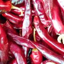 요가와자연음식 이미지