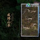 유진식품 - 전주시 덕진구 | 유진식품