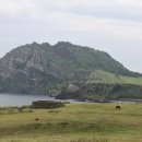 CU시흥신천길목점 | 제주 올레길 동부 코스 한눈에 정리: 초보자를 위한 난이도 거리 교통 현실 가이드