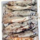 보라매동-7 이미지