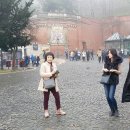 제일양봉산업 이미지