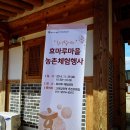 효마루마을 이미지