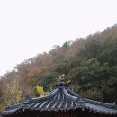 돌모리마을 영농조합법인