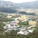 이존식농장 이미지