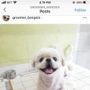 꾸러기동물병원 이미지