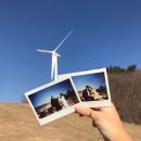 우매목장 | <강원도여행> 2019 마지막 삼양목장 여행