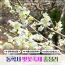 힐링산행과 문화탐방 | 공주 동학사 벚꽃축제 일정과 계룡산 개화시기 산책후기