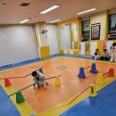 아이짐한결태권도 이미지