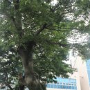 서광서리마을회관 이미지