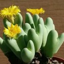 來年 地方選擧 首都圈 非常,特히 서울市長,民主 敗北 憂慮 擴散! 이미지