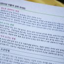 삼모아