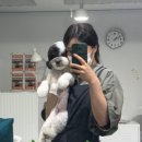 가드기멍 이미지