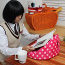 미요코리아 이미지