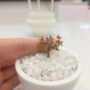 초록사파리_크레팜