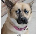 표정