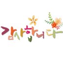 꼬모교육사