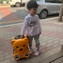 창용체육관 이미지