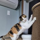 안당농장 이미지