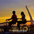 핑크플레이스