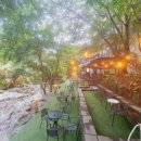 리틀포레 이미지