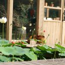 아띠하우스 이미지