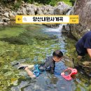 내원사 - 1060 | 양산 내원사 계곡 2026년 개방! 아이와 물놀이 후기 주차·명당자리 꿀팁