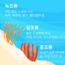 동부친환경농자재 | 식물영양제의 핵심 원료, 아스코필럼노도섬이란?(갈조류) - 피프티