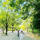 우치공원 | [광주광역시]🐘 광주 우치공원 동물원 무료 나들이 후기 (아이와 가기 좋은 곳)
