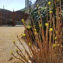 부곡한옥펜션 이미지