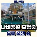 인천나비공원 | 인천 나비공원 모험 숲, 따뜻해지면 꼭 가보세요
