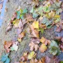 지웅농장 이미지