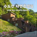 힐링요가 | 김천 수도산 자연휴양림 5월 가족 나들이! 숲속 힐링 바베큐 후기