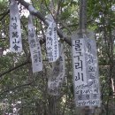 오름길구리