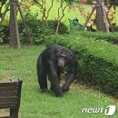 달성공원 동물병원 이미지