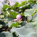 뉴오션리조트 이미지