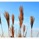 이성농장 이미지