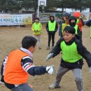 대관령초등학교 이미지