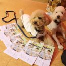 리치펫동물병원 이미지