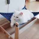 희동이의 하루 이미지