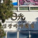 신선함이 살아 숨 쉬는 바다의 한 점, 전국 활어회 맛집 5곳 이미지
