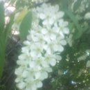 털보농장 이미지