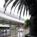 평화로(2) 이미지