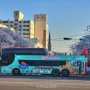 투어버스여행(주) 이미지