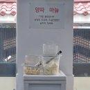 대조-008 이미지