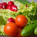 가지런이치과교정과치과의원 이미지