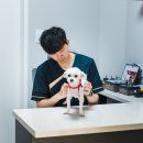 봄날동물병원 이미지