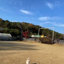 카페 개떼 이미지