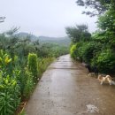 용복농장 이미지